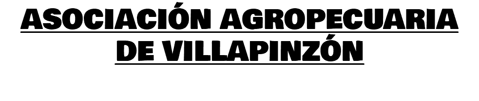 ASOCIACIÓN AGROPECUARIA DE VILLAPINZÓN 